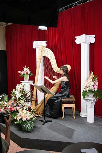 img_1107Harp.jpg